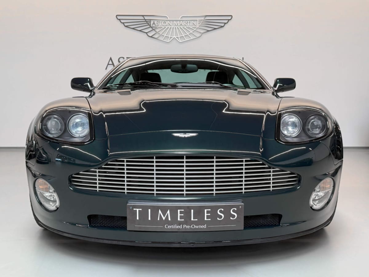 Vanquish 31