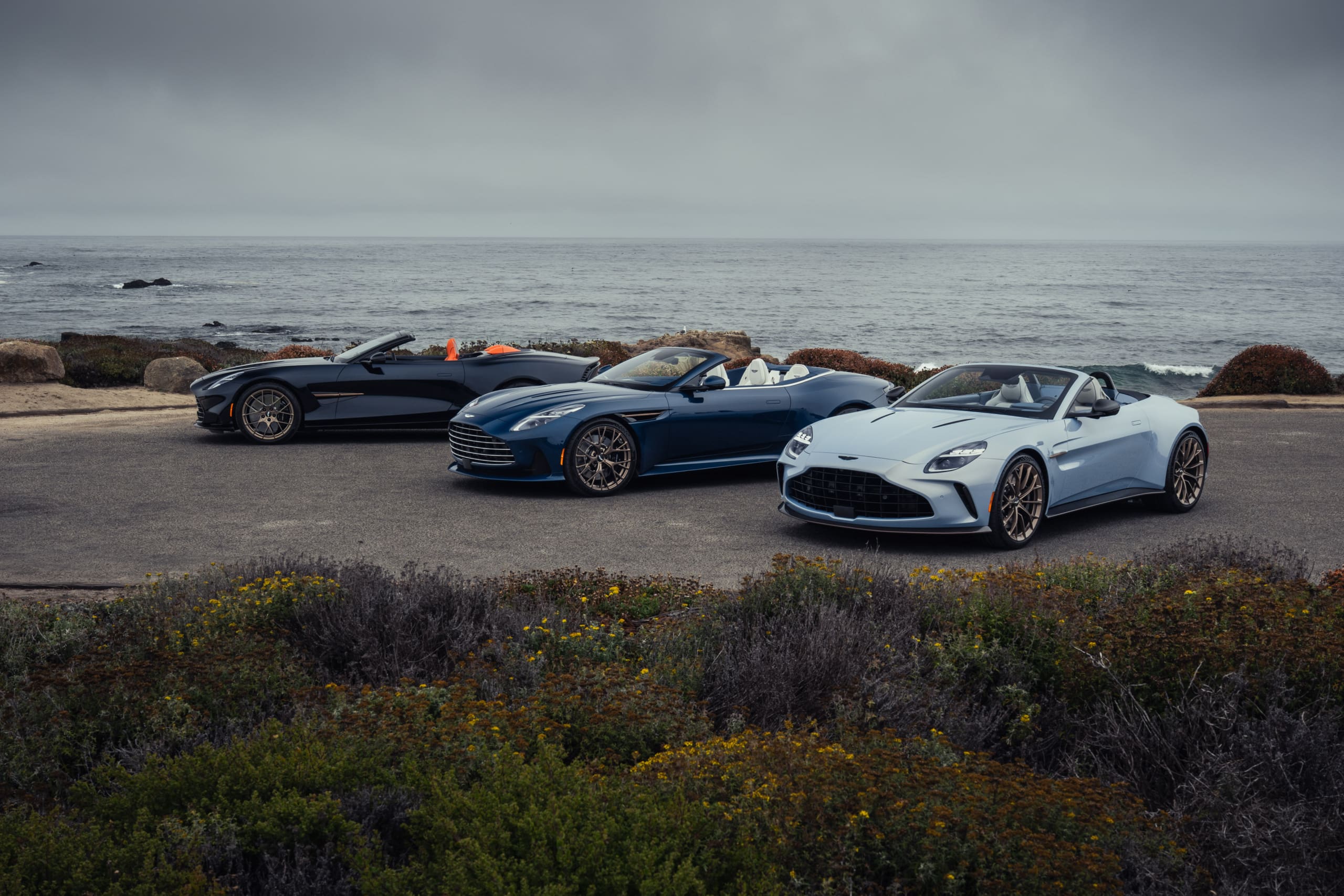 Thrillseekers Collection Vanquish Volante